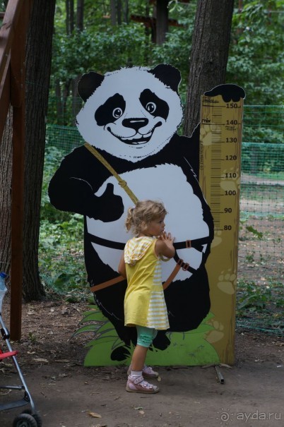 Не будет скучно в Нескучном саду Не будет скучно в Нескучном саду