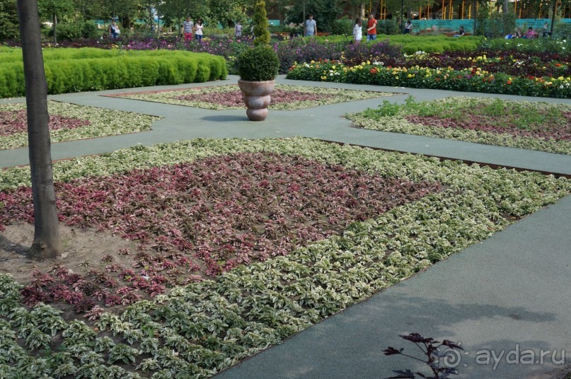 Не будет скучно в Нескучном саду Не будет скучно в Нескучном саду