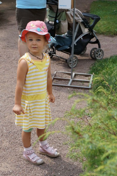 Не будет скучно в Нескучном саду Не будет скучно в Нескучном саду