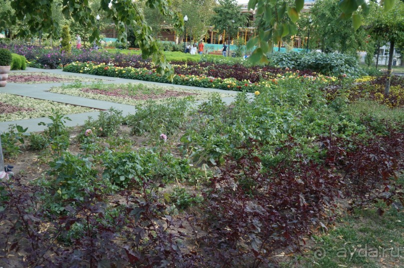 Не будет скучно в Нескучном саду Не будет скучно в Нескучном саду