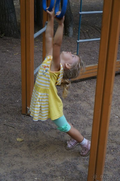Не будет скучно в Нескучном саду Не будет скучно в Нескучном саду