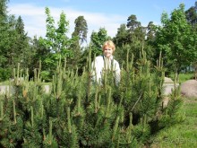 Кусочек Финляндии в России