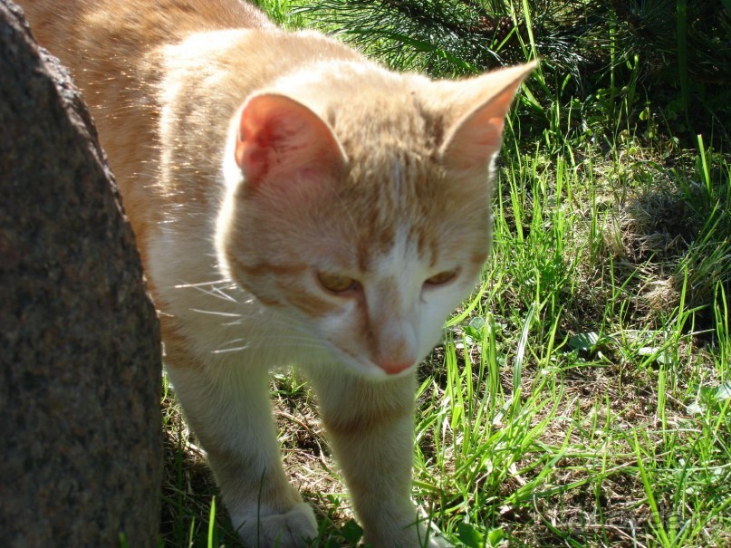 Кусочек Финляндии в России