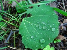 Кусочек Финляндии в России