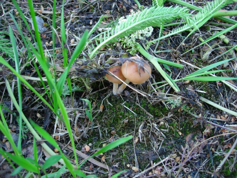 Кусочек Финляндии в России