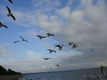 Кусочек Финляндии в России