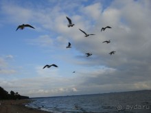 Кусочек Финляндии в России