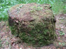 Кусочек Финляндии в России