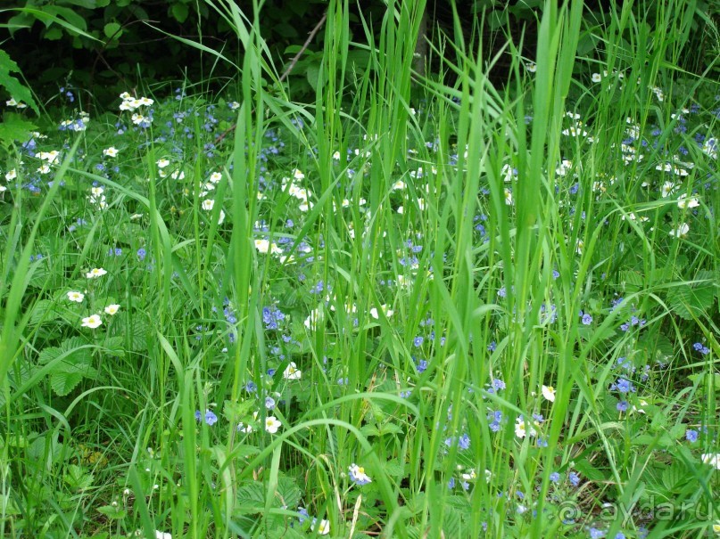 Кусочек Финляндии в России