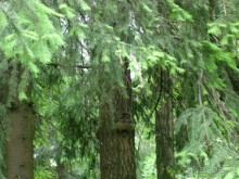 Кусочек Финляндии в России