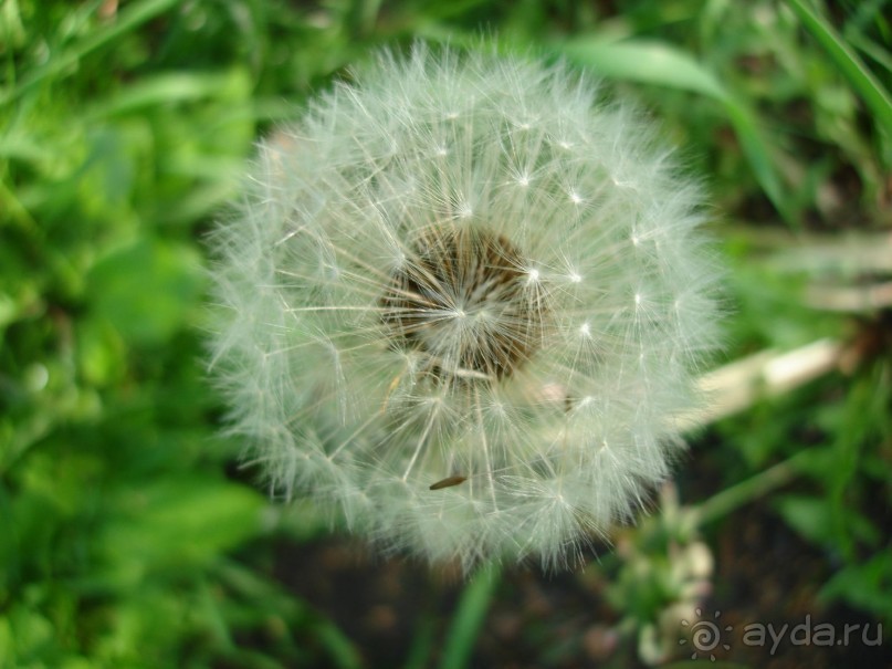 Кусочек Финляндии в России