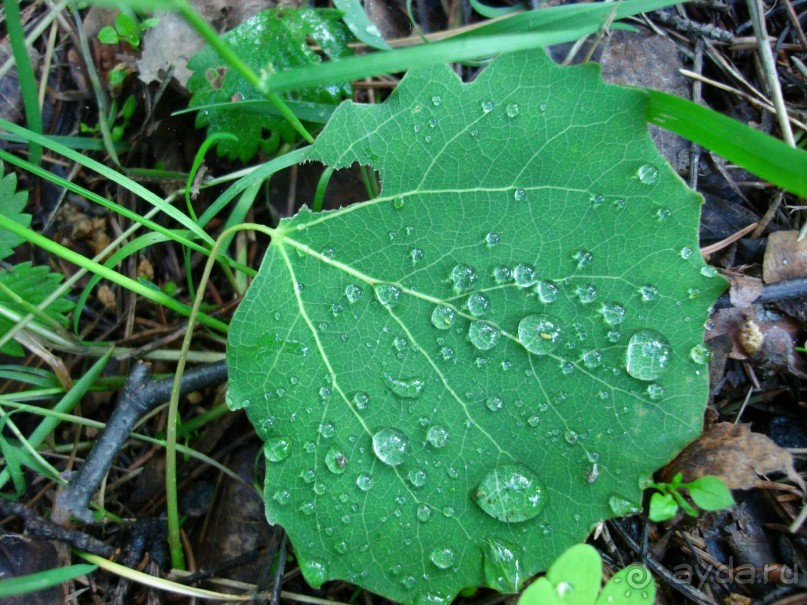 Кусочек Финляндии в России