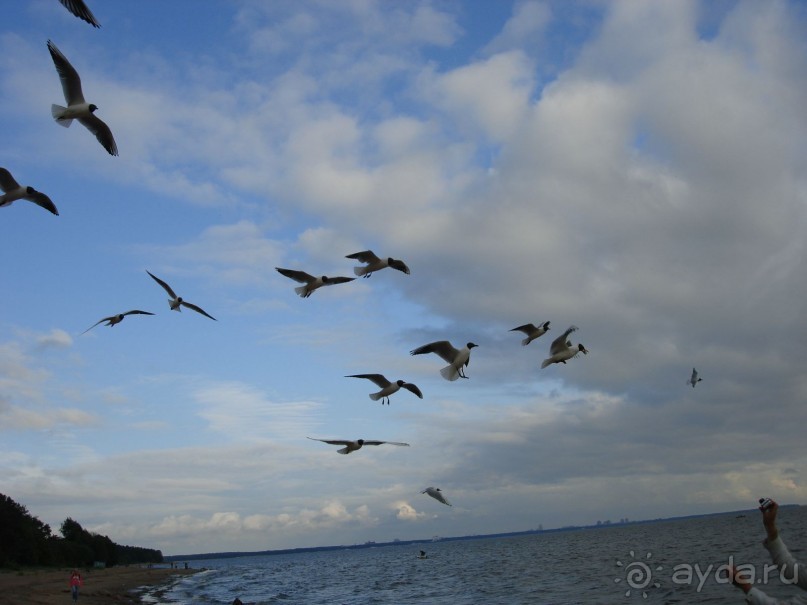 Кусочек Финляндии в России