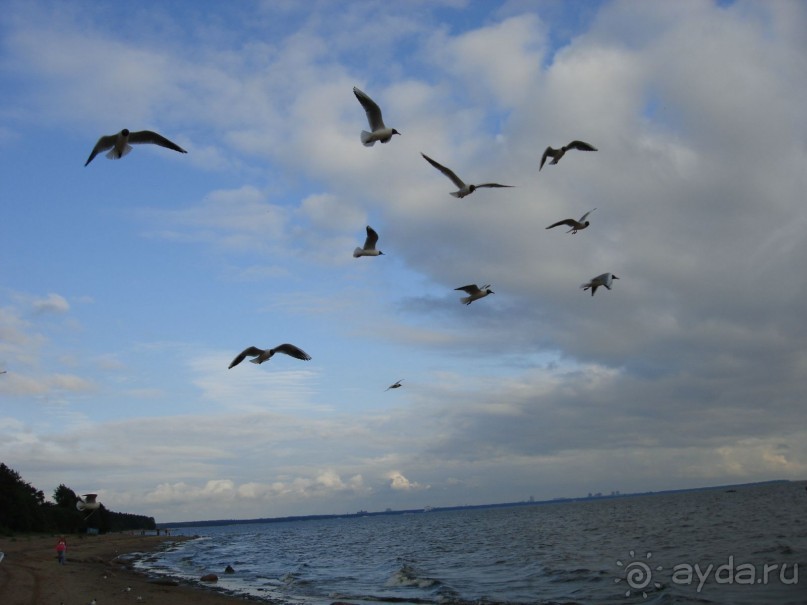 Кусочек Финляндии в России