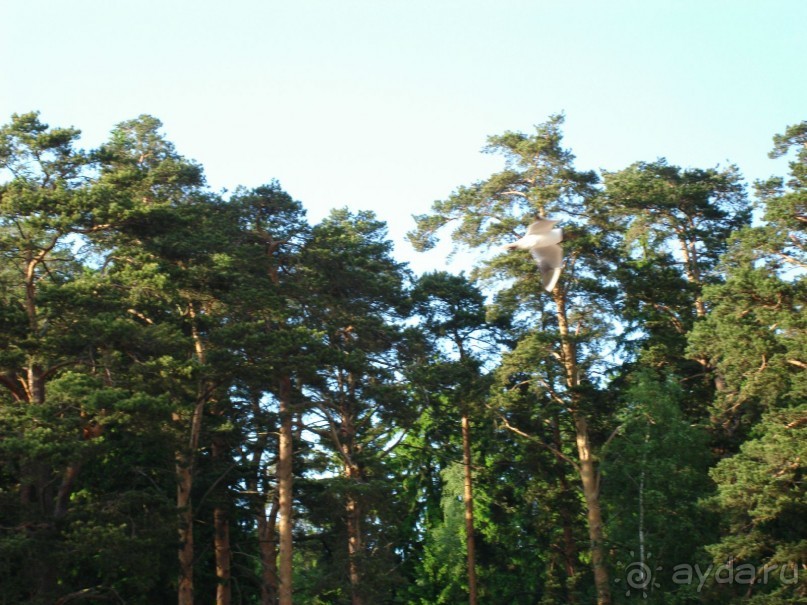 Кусочек Финляндии в России