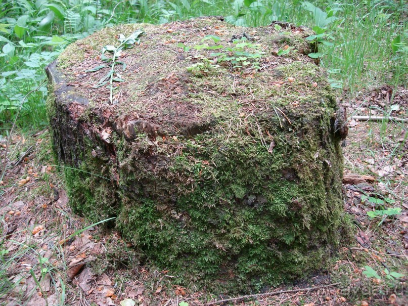 Кусочек Финляндии в России