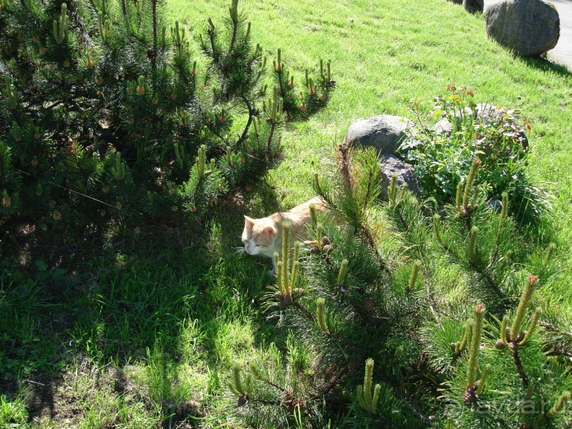 Кусочек Финляндии в России