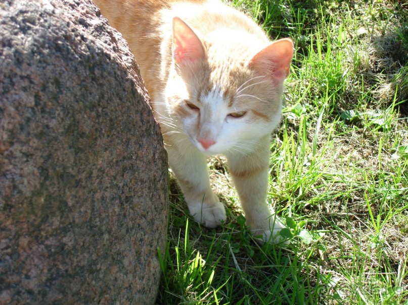 Кусочек Финляндии в России