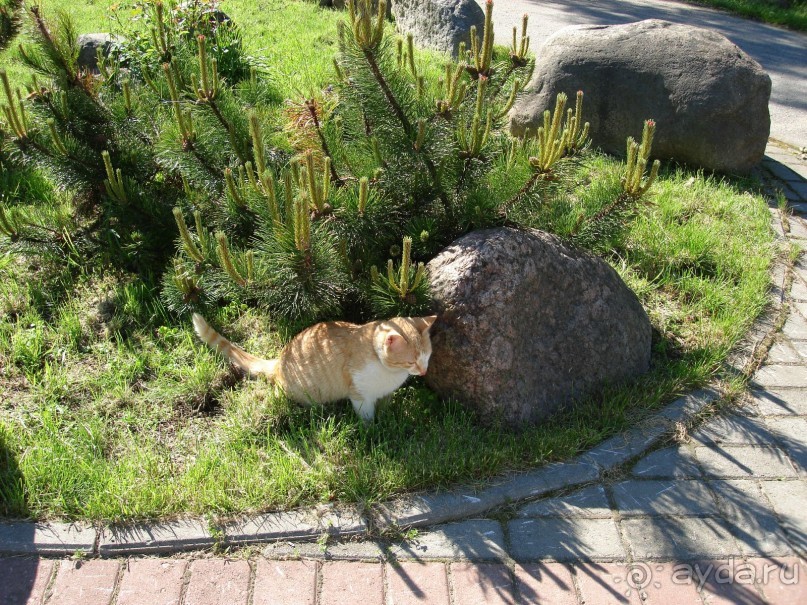 Кусочек Финляндии в России