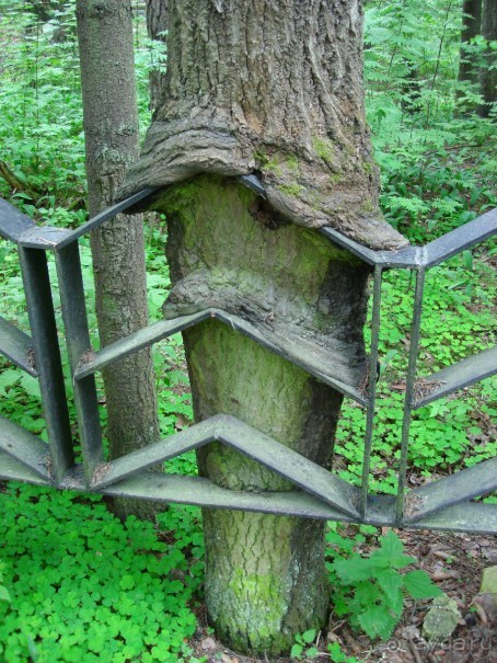 Кусочек Финляндии в России