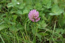 Маленький польский городок Радзеёвице