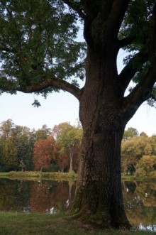 Маленький польский городок Радзеёвице