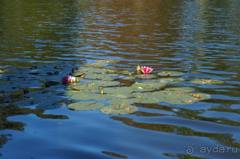 Маленький польский городок Радзеёвице