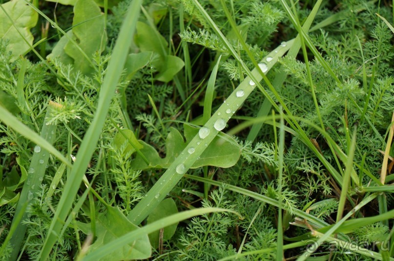 Маленький польский городок Радзеёвице