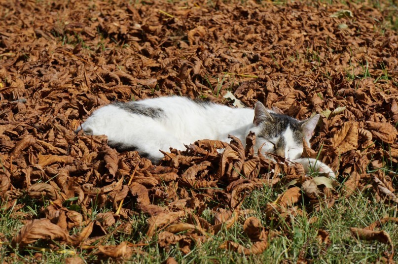 Маленький польский городок Радзеёвице