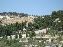 Альбом отзыва "Жаркий и соленый Израиль"