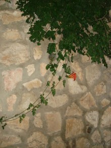 Жаркий и соленый Израиль