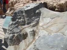 Жаркий и соленый Израиль