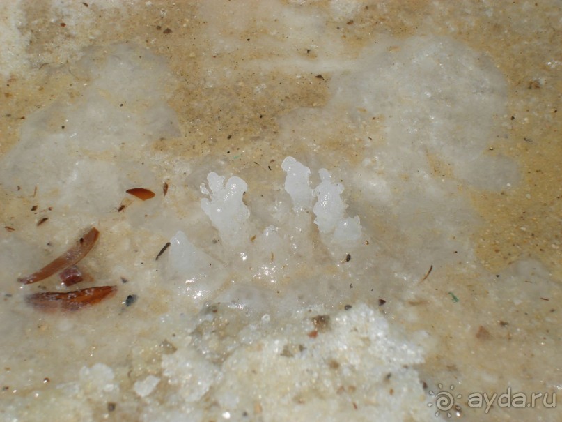 Жаркий и соленый Израиль