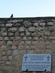 Жаркий и соленый Израиль