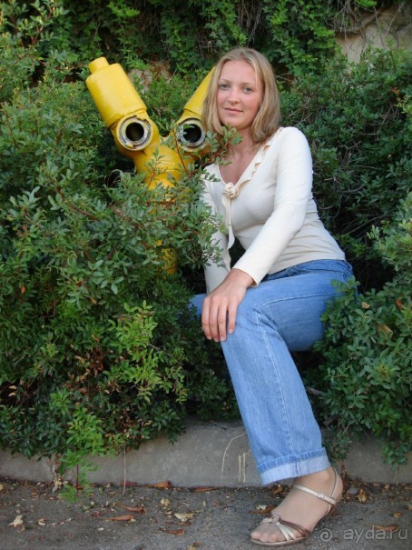 Жаркий и соленый Израиль