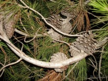 Жаркий и соленый Израиль