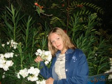 Жаркий и соленый Израиль