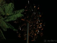 Жаркий и соленый Израиль