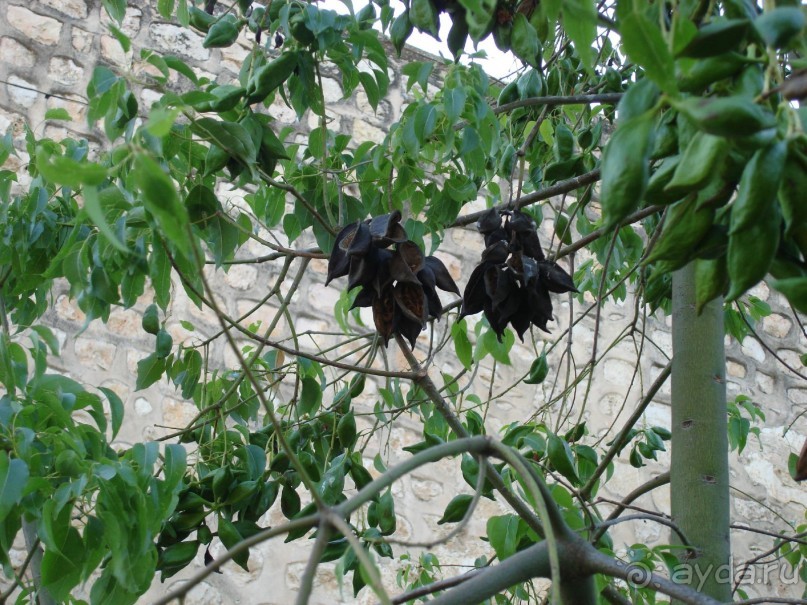 Жаркий и соленый Израиль