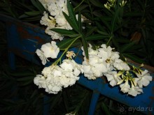 Жаркий и соленый Израиль