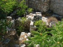 Жаркий и соленый Израиль