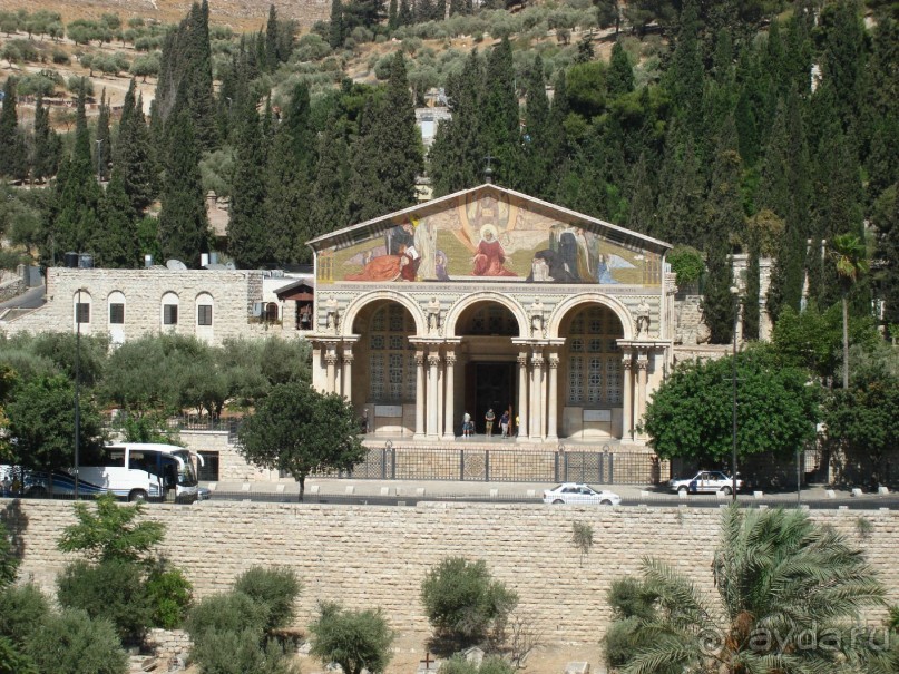 Жаркий и соленый Израиль