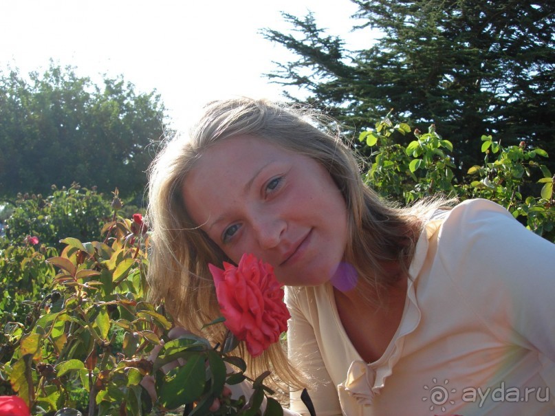 Жаркий и соленый Израиль