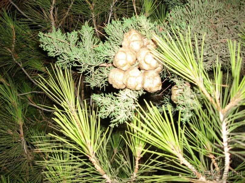 Жаркий и соленый Израиль