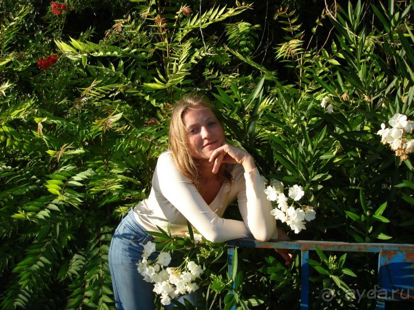 Жаркий и соленый Израиль