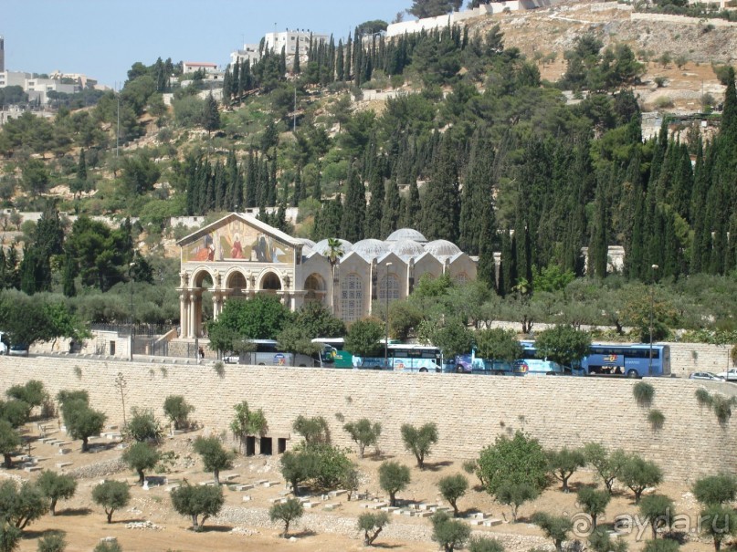 Жаркий и соленый Израиль