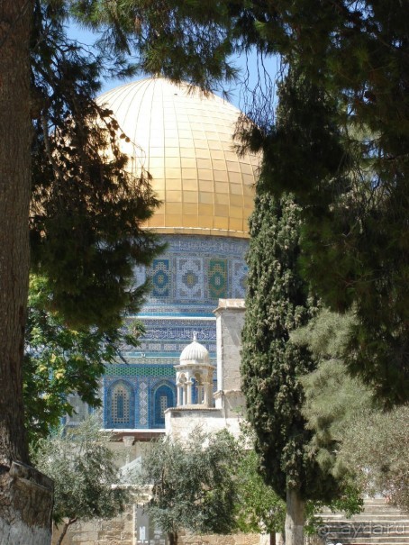 Жаркий и соленый Израиль