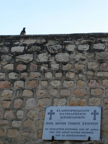 Жаркий и соленый Израиль