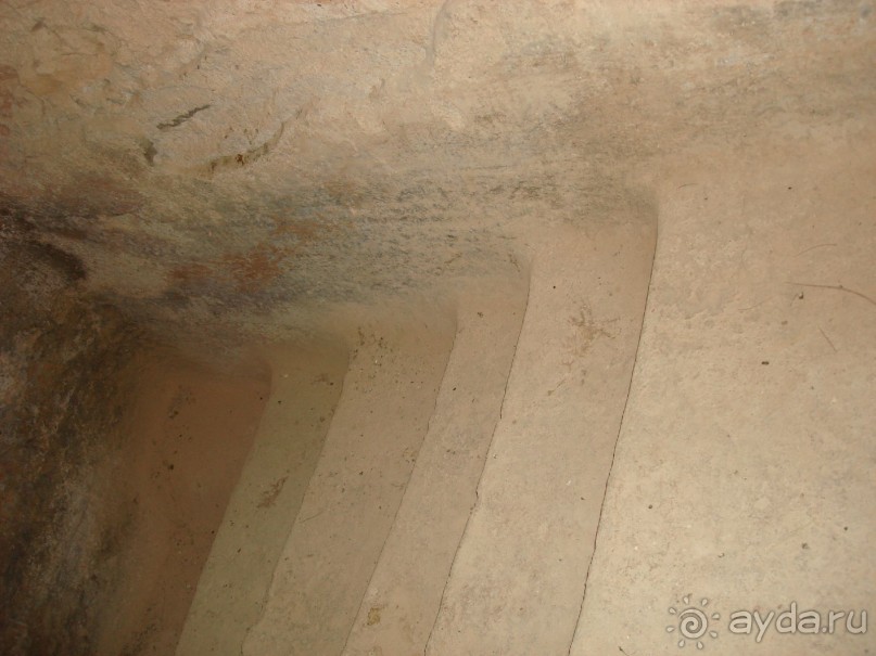 Жаркий и соленый Израиль