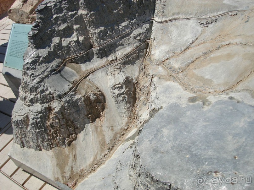 Жаркий и соленый Израиль